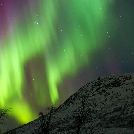 別荘 6 Person In Olderdalen