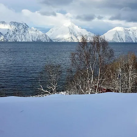 4 Star In * Olderdalen